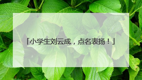小学生刘云成，点名表扬！