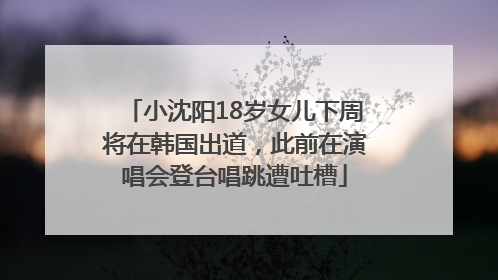 小沈阳18岁女儿下周将在韩国出道，此前在演唱会登台唱跳遭吐槽