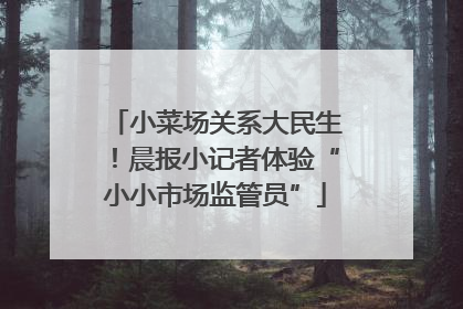 小菜场关系大民生！晨报小记者体验“小小市场监管员”