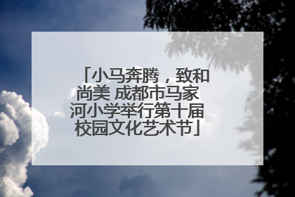 小马奔腾，致和尚美 成都市马家河小学举行第十届校园文化艺术节