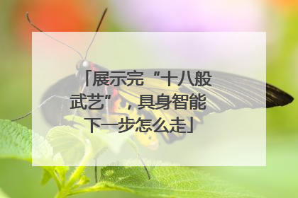 展示完“十八般武艺”，具身智能下一步怎么走