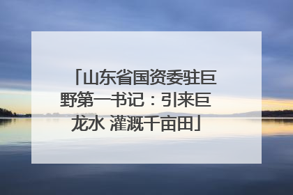 山东省国资委驻巨野第一书记：引来巨龙水 灌溉千亩田