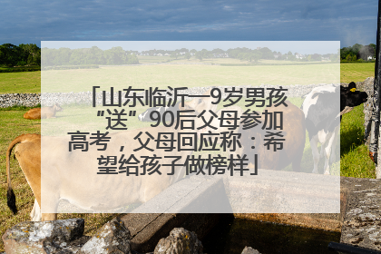山东临沂一9岁男孩“送”90后父母参加高考，父母回应称：希望给孩子做榜样
