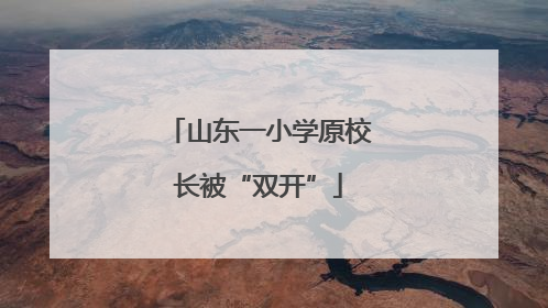 山东一小学原校长被“双开”