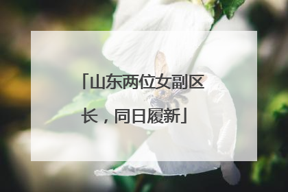山东两位女副区长，同日履新