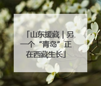 山东援藏｜另一个“青岛”正在西藏生长