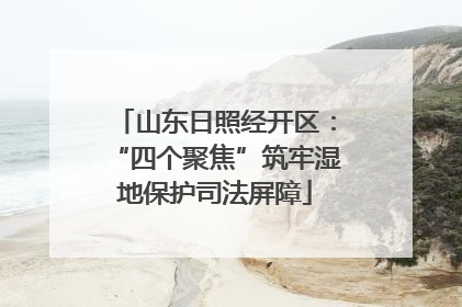 山东日照经开区：“四个聚焦”筑牢湿地保护司法屏障
