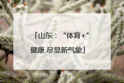 山东：“体育+”健康 尽显新气象