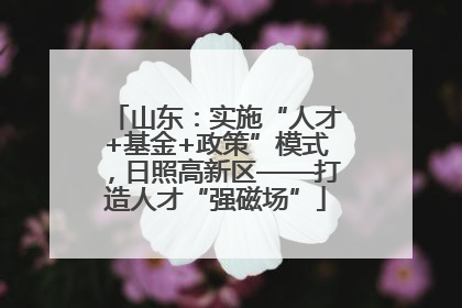 山东：实施“人才+基金+政策”模式，日照高新区——打造人才“强磁场”
