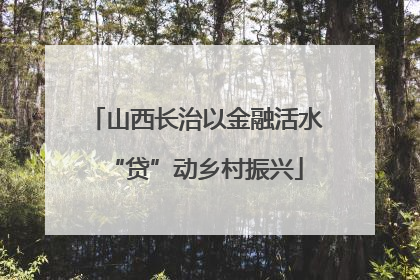 山西长治以金融活水“贷”动乡村振兴