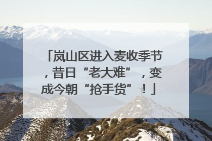 岚山区进入麦收季节，昔日“老大难”，变成今朝“抢手货”！
