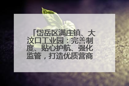 岱岳区满庄镇、大汶口工业园：完善制度、贴心护航、强化监管，打造优质营商“强磁场”