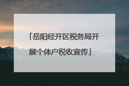 岳阳经开区税务局开展个体户税收宣传