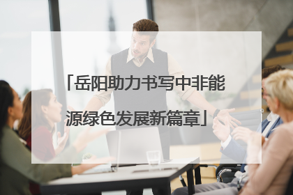 岳阳助力书写中非能源绿色发展新篇章