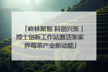 峰林聚智 科创兴张｜博士创新工作站激活张家界莓茶产业新动能