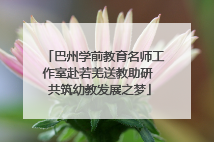 巴州学前教育名师工作室赴若羌送教助研 共筑幼教发展之梦