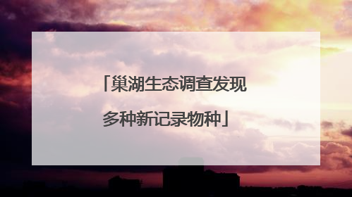 巢湖生态调查发现多种新记录物种