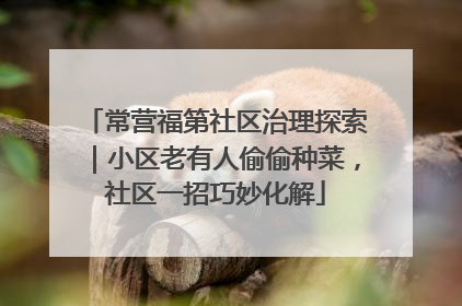 常营福第社区治理探索｜小区老有人偷偷种菜，社区一招巧妙化解