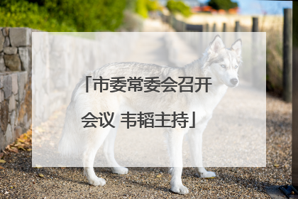 市委常委会召开会议 韦韬主持