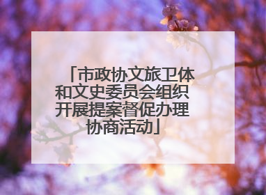 市政协文旅卫体和文史委员会组织开展提案督促办理协商活动