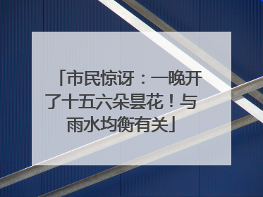 市民惊讶：一晚开了十五六朵昙花！与雨水均衡有关