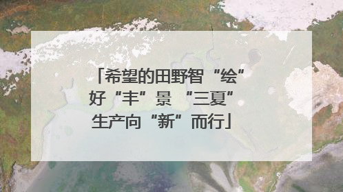 希望的田野智“绘”好“丰”景 “三夏”生产向“新”而行