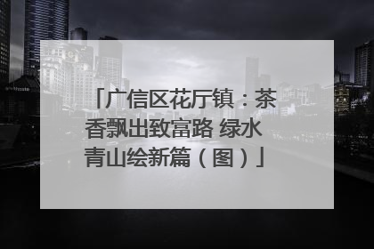 广信区花厅镇：茶香飘出致富路 绿水青山绘新篇（图）