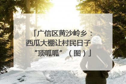 广信区黄沙岭乡：西瓜大棚让村民日子“顶呱呱”（图）