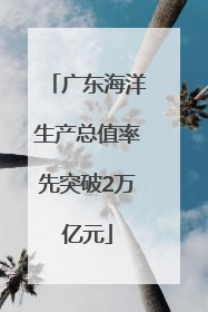 广东海洋生产总值率先突破2万亿元