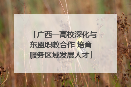 广西一高校深化与东盟职教合作 培育服务区域发展人才