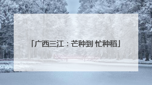 广西三江：芒种到 忙种稻