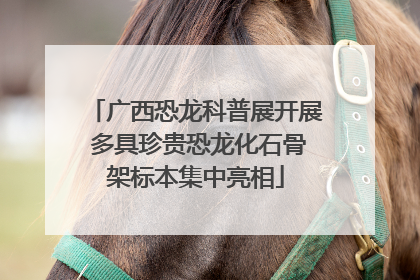 广西恐龙科普展开展 多具珍贵恐龙化石骨架标本集中亮相