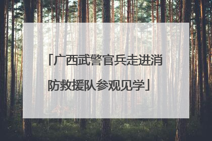 广西武警官兵走进消防救援队参观见学