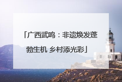广西武鸣：非遗焕发蓬勃生机 乡村添光彩