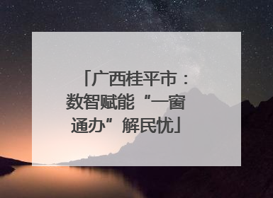 广西桂平市：数智赋能“一窗通办”解民忧