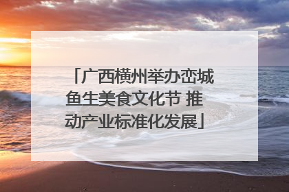 广西横州举办峦城鱼生美食文化节 推动产业标准化发展