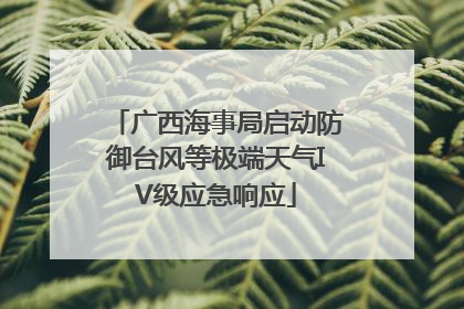 广西海事局启动防御台风等极端天气IV级应急响应