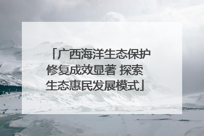 广西海洋生态保护修复成效显著 探索生态惠民发展模式