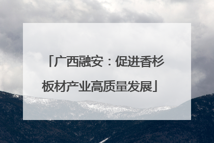 广西融安：促进香杉板材产业高质量发展
