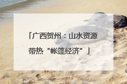 广西贺州：山水资源带热“帐篷经济”