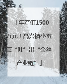年产值1500万元！高兴镇小蚕茧“吐”出“金丝产业链”