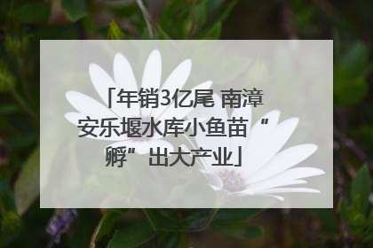 年销3亿尾 南漳安乐堰水库小鱼苗“孵”出大产业