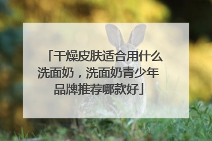 干燥皮肤适合用什么洗面奶，洗面奶青少年品牌推荐哪款好