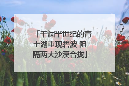 干涸半世纪的青土湖重现碧波 阻隔两大沙漠合拢