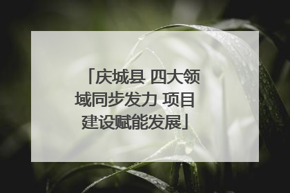 庆城县 四大领域同步发力 项目建设赋能发展