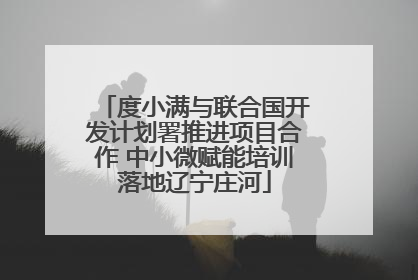 度小满与联合国开发计划署推进项目合作 中小微赋能培训落地辽宁庄河