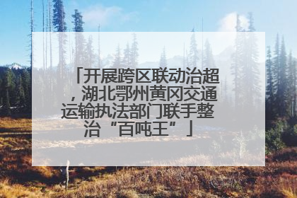 开展跨区联动治超，湖北鄂州黄冈交通运输执法部门联手整治“百吨王”