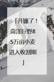 开镰了！菏泽巨野85万亩小麦进入收割期