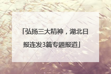 弘扬三大精神，湖北日报连发3篇专题报道