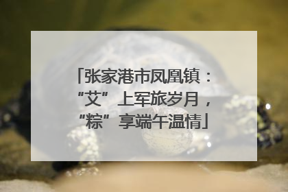 张家港市凤凰镇：“艾”上军旅岁月，“粽”享端午温情